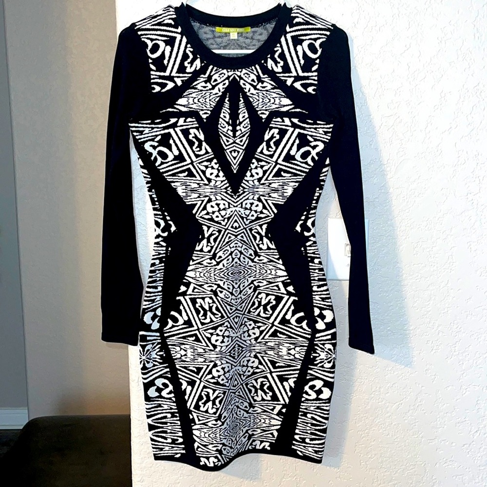 Gianni Bini Body-con dress (XS)
